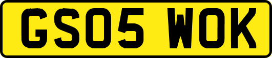 GS05WOK