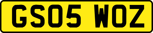 GS05WOZ
