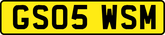 GS05WSM