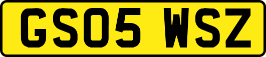 GS05WSZ