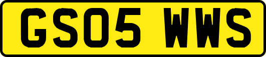 GS05WWS