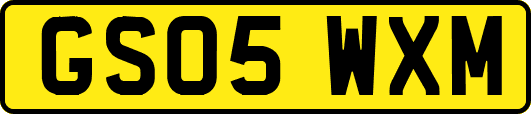 GS05WXM