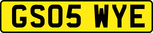 GS05WYE