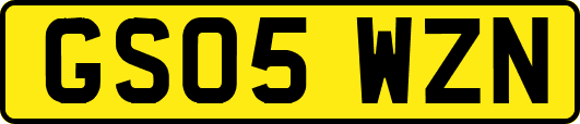 GS05WZN