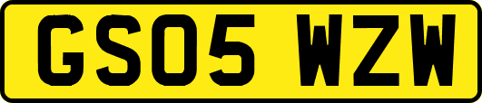 GS05WZW