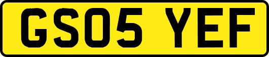 GS05YEF
