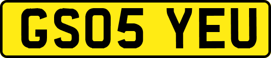 GS05YEU