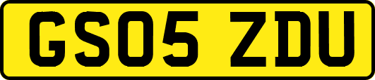 GS05ZDU
