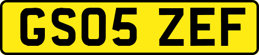 GS05ZEF