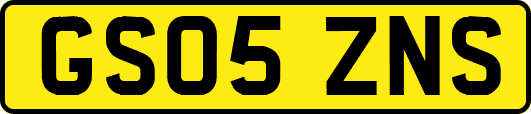 GS05ZNS