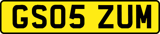 GS05ZUM