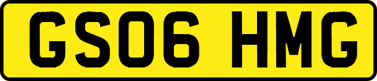 GS06HMG