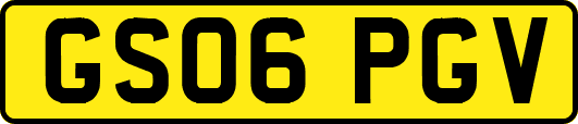 GS06PGV