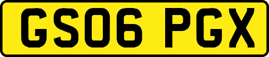 GS06PGX