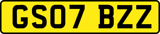 GS07BZZ