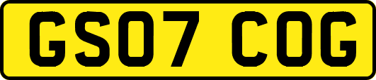 GS07COG