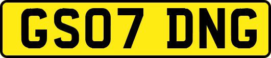 GS07DNG