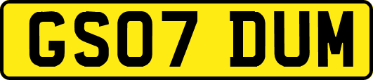GS07DUM