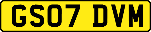 GS07DVM
