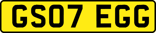 GS07EGG