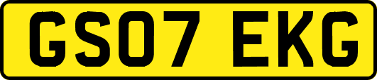 GS07EKG