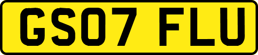 GS07FLU