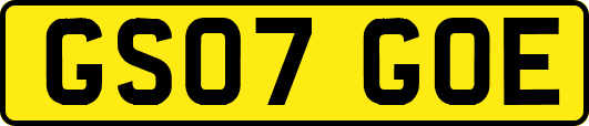 GS07GOE