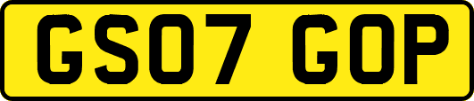 GS07GOP