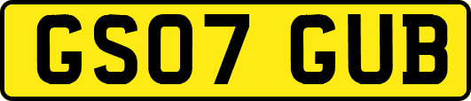 GS07GUB