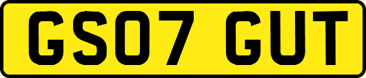 GS07GUT