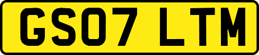 GS07LTM