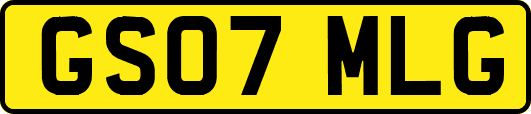 GS07MLG