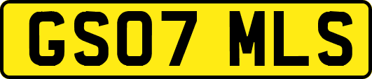 GS07MLS