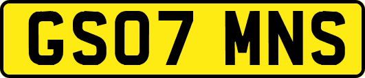 GS07MNS