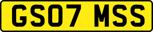 GS07MSS