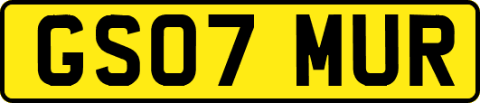GS07MUR