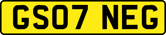 GS07NEG