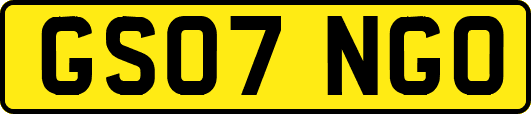 GS07NGO