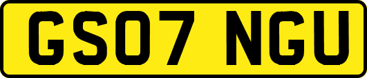 GS07NGU