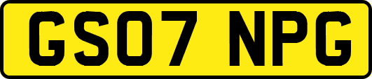 GS07NPG