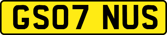 GS07NUS