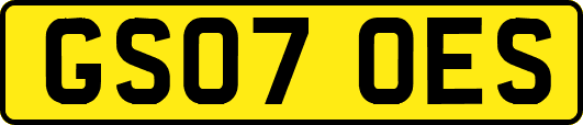GS07OES
