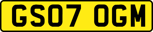 GS07OGM