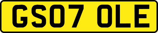 GS07OLE