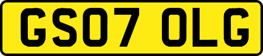 GS07OLG