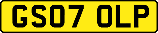 GS07OLP