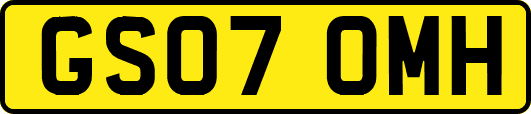 GS07OMH