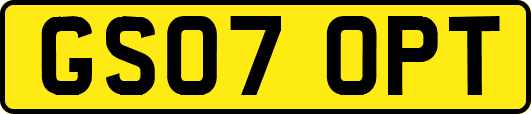 GS07OPT