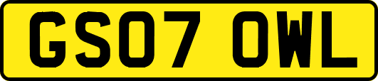 GS07OWL