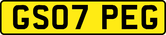 GS07PEG